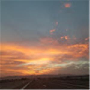 תמונת משתמש