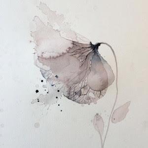 תמונת משתמש