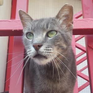 תמונת משתמש