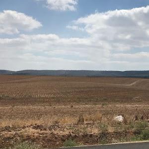 roycirkin1 - תמונה