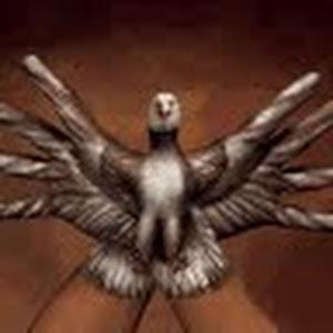 תמונת משתמש