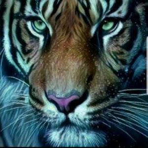 תמונת משתמש