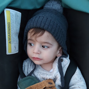 תמונת משתמש