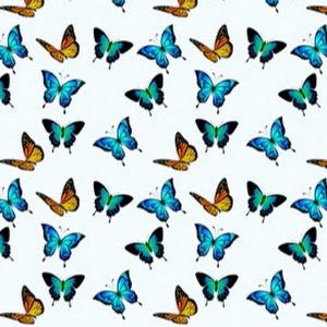 almoglann - תמונה