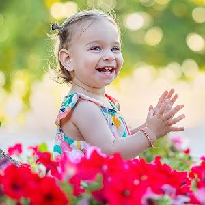 תמונת משתמש