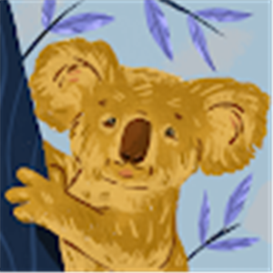 תמונת משתמש