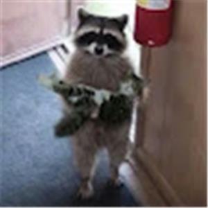 תמונת משתמש