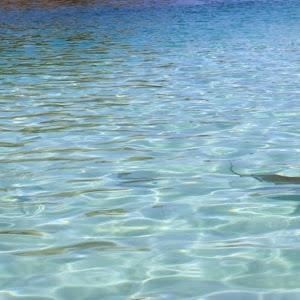 תמונת משתמש