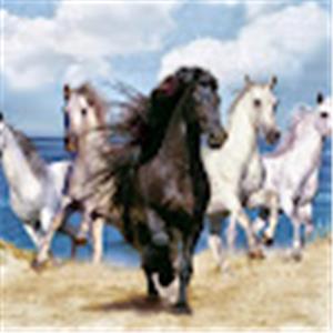 תמונת משתמש