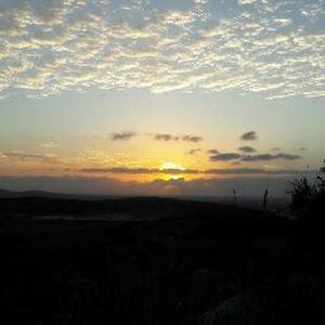 תמונת משתמש