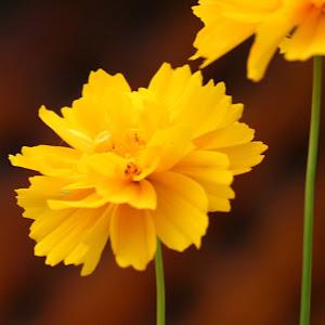 תמונת משתמש