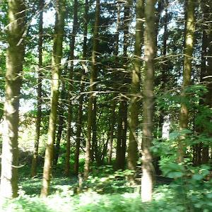 תמונת משתמש