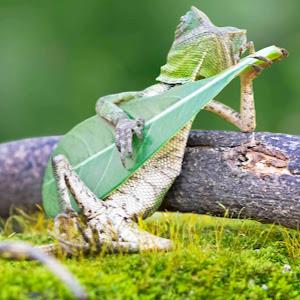 תמונת משתמש