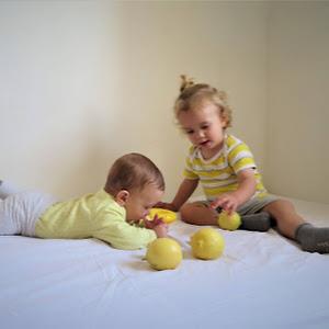 תמונת משתמש