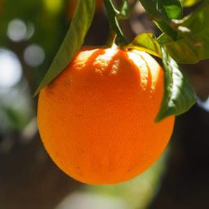 תמונת משתמש