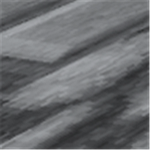 gal.gluska10 - תמונה