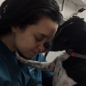 תמונת משתמש