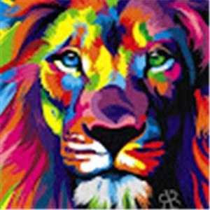 תמונת משתמש