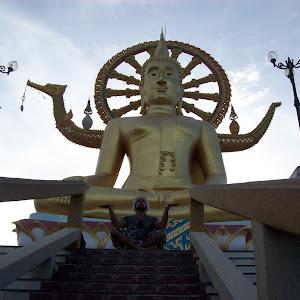 תמונת משתמש