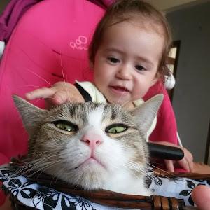 תמונת משתמש