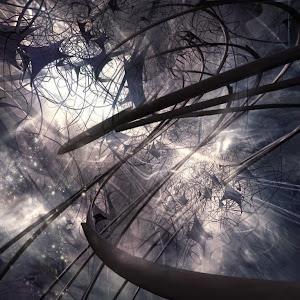 תמונת משתמש