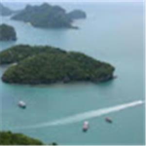 תמונת משתמש