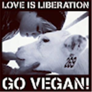 תמונת משתמש