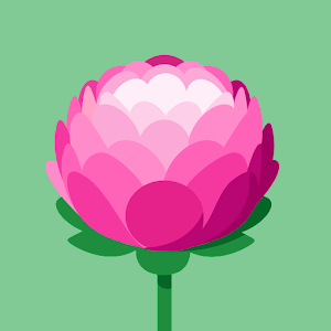 תמונת משתמש