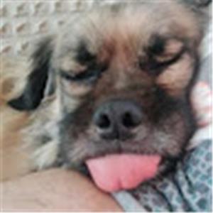 תמונת משתמש