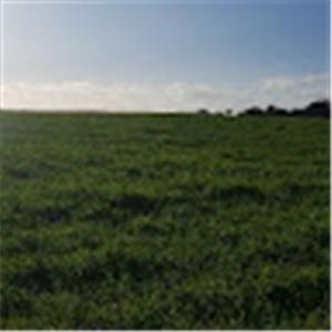 תמונת משתמש