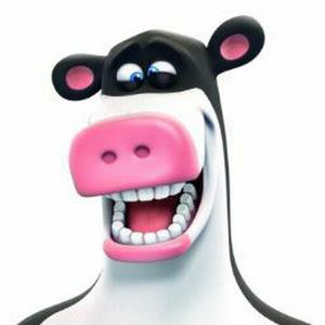 תמונת משתמש