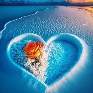 תמונת משתמש