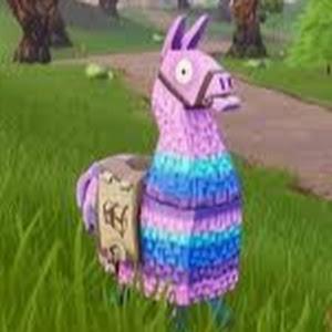 תמונת משתמש