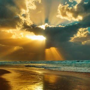 תמונת משתמש