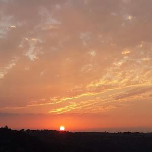 תמונת משתמש