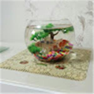 תמונת משתמש