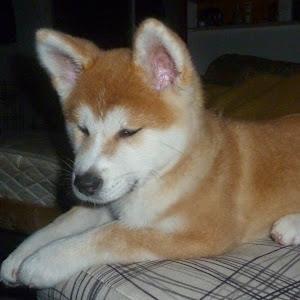 תמונת משתמש