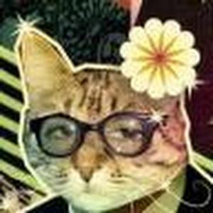 תמונת משתמש