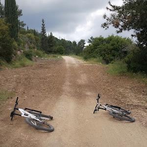 תמונת משתמש