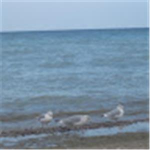 תמונת משתמש