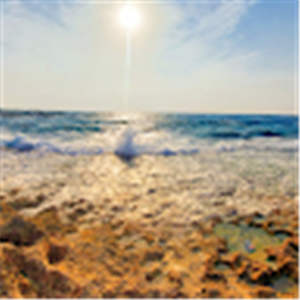 margalitrach - תמונה