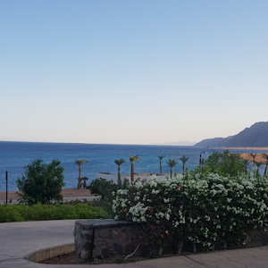 efratdwek123 - תמונה efratdwek123 - תמונה