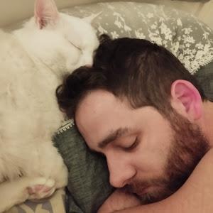 תמונת משתמש