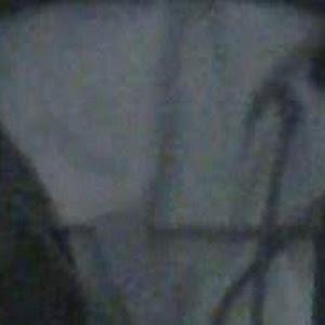 תמונת משתמש