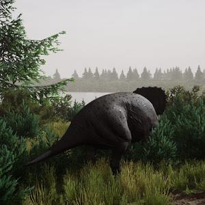 תמונת משתמש