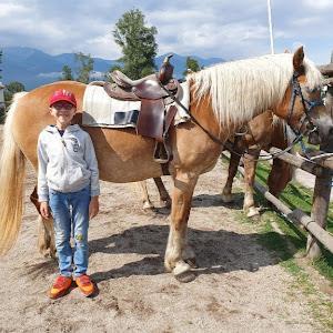 יואב - תמונה