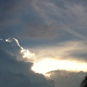 תמונת משתמש