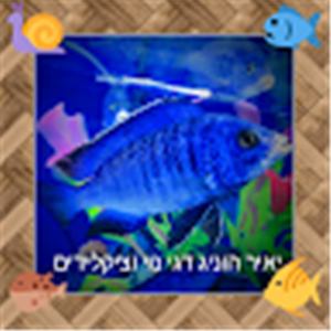 תמונת משתמש