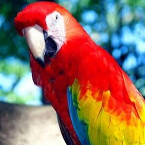 תמונת משתמש