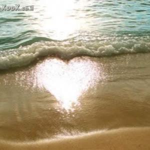 תמונת משתמש